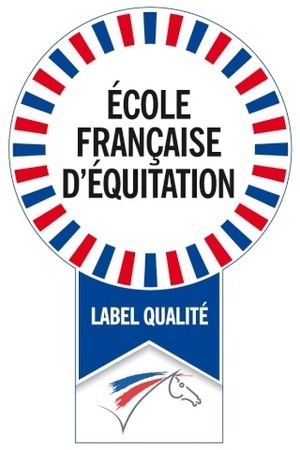Logo Fédération Francaise d'Equitation